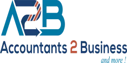Accountants 2 Business