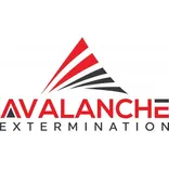 Avalanche Extermination