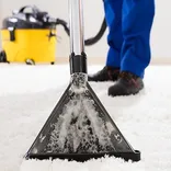 Alliance Carpet & Upholstery Cleaning