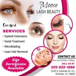 Moose Lash Beauty