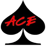 ACE Pool Repair