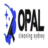 Rug Cleaning Sydney 