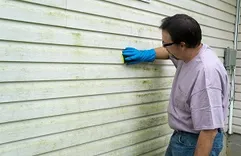 Mold Experts of Oklahoma City