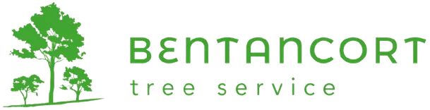 Bentancort Tree Servcie