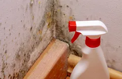 Water Damage Experts of City of Homes