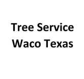 Tree Service Waco Texas