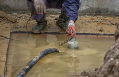 Water Damage Experts of Mid Michigan