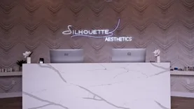 Silhouette Aesthetics