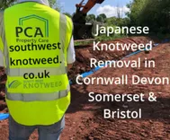 Southwest Japanese Knotweed Removal Cornwall Devon Bristol Somerset