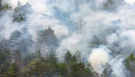 White Rose City Smoke Experts