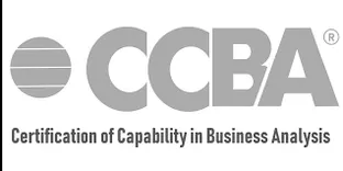 CCBA Certification Training Course