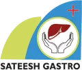 Sateesh Gastro