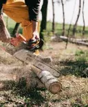 State Wide Tree Removals