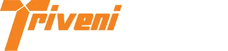 Triveni Group