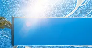Fremont Window Washers