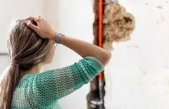 Mold Experts of Salt Lake City