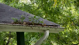 Fertile Apple Orchards Gutter Solutions