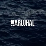 Narwhal Media Group