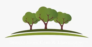 Aqeel Landscaping Usa