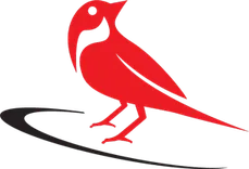 Red Sparrow Digital - Web, SEO & Digital Marketing Agency