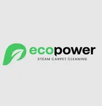 EcoPower Steam Carpet Cleaning