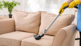 Rejuvenate Upholstery Cleaning Hobart