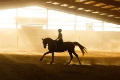Horselux Equestrian Center
