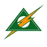 Luminous Electric