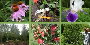 Hoadley's Wholesale & Nursery, LLC
