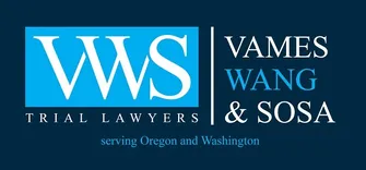 Vames, Wang & Sosa Injury Lawyers