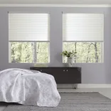 Window Elegance