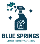 Blue Springs Mold Remediation Solutions