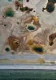 Mold Remediation Solutions of Warren