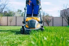 Oasis Maricopa Landscapers