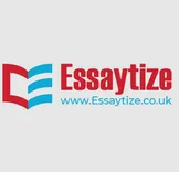Essaytize