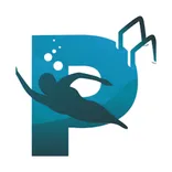 Professional Pool Guys