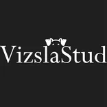 Vizsla Stud Dog