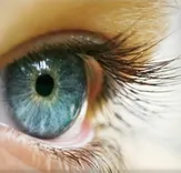 Myeyespecialist