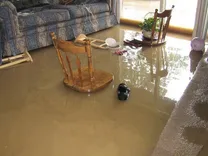 Flood Damage Restoration Coorparoo