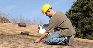 The Granite State Mold Inspections
