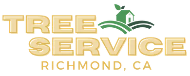 Quality Tree Service Richmond