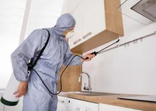 Watertown Pest Control Solutions