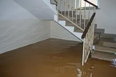 Choice Flood Damage Restoration Perth