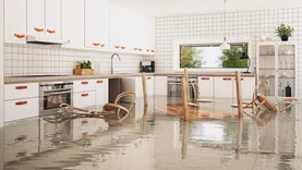 Flood Damage Restoration Randwick