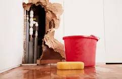 Orange County Restoration Professionals