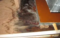 Venice Water Damage & Restoration Wizards