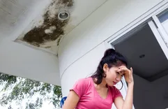 Sarasota County Water Damage & Restoration Wizards