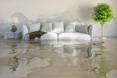 Flood Damage Restoration Noble Park
