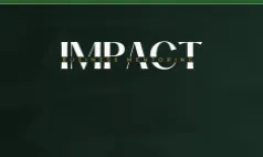 Impact Business Mentoring