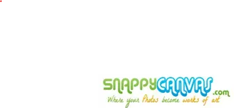 Snappy Canvas